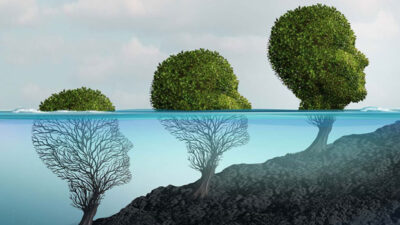 counselling psychotherapy counselling psychotherapy midleton holistic health centre